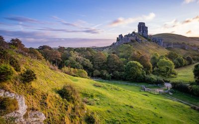 Dorset Council Visitor Demand Multi-Agency Control Centre 2020-2021